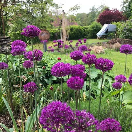 Gaestehaus - Auszeit Nyaraló *