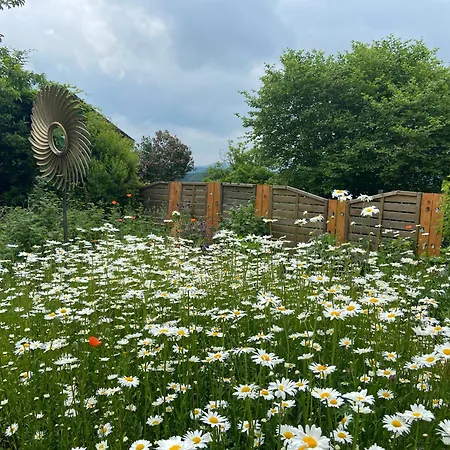 Holiday home Gaestehaus - Auszeit Vohl